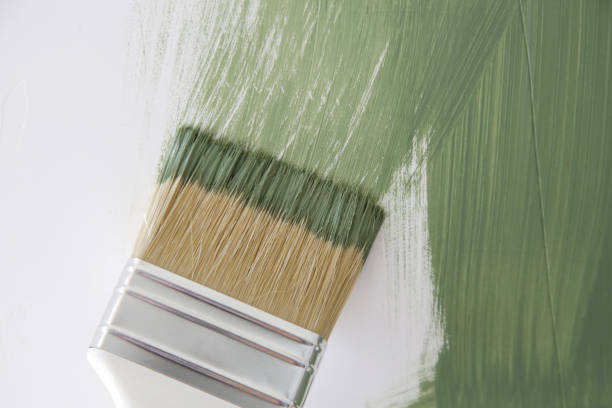 Best Emergency Mold Remediation  in Deerfield, WI