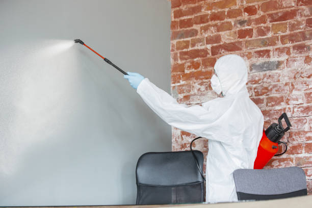 Best Environmental Consulting for Mold Prevention  in Deerfield, WI