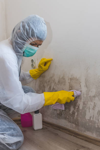 Best Commercial Mold Inspection  in Deerfield, WI