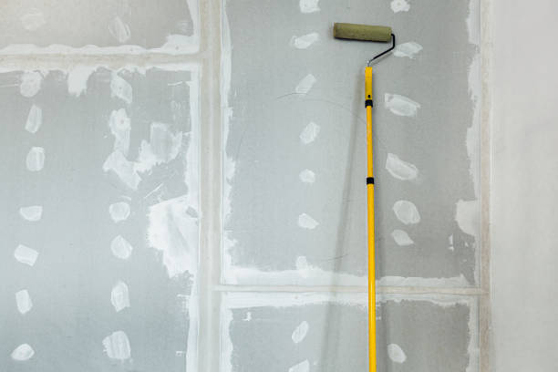 Best Basement Mold Removal  in Deerfield, WI