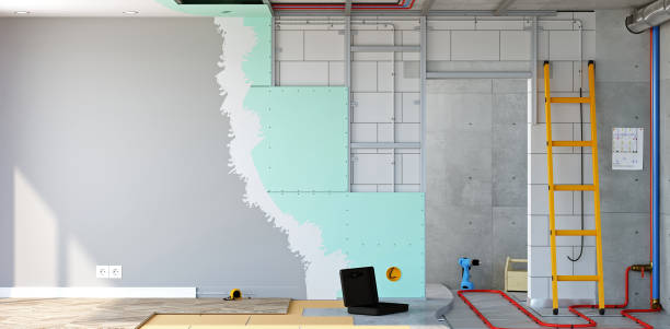  Deerfield, WI Mold Removal Pros